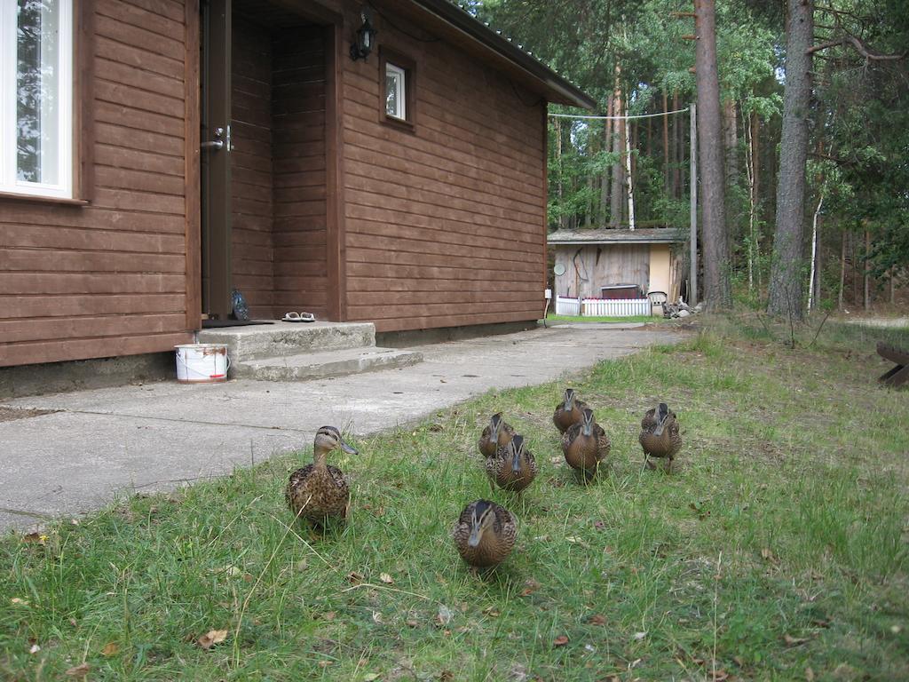 Lomasaaret Cottages Villala Kamer foto